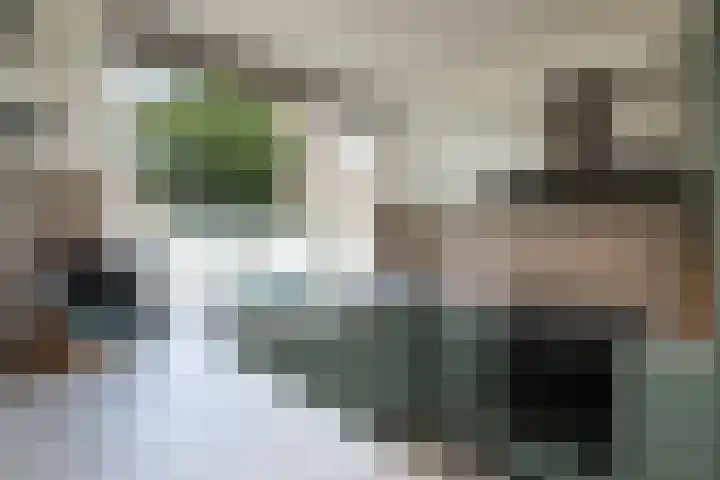 Lupineveld 12 Nieuwerkerk aan den IJssel thumbnail 5