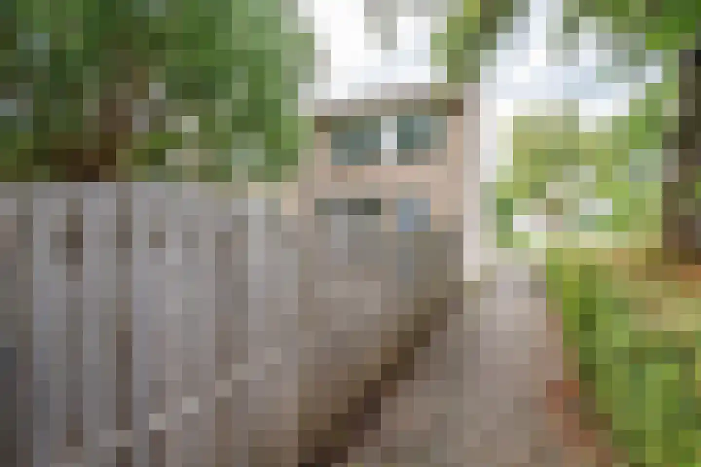 Lupineveld 18 Nieuwerkerk aan den IJssel thumbnail 26