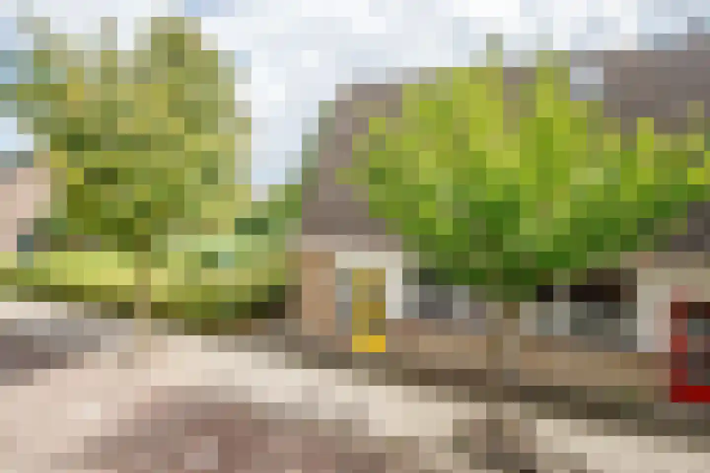 Lupineveld 18 Nieuwerkerk aan den IJssel thumbnail 5