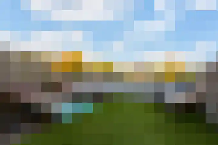 Lupineweg 100 Apeldoorn thumbnail 30