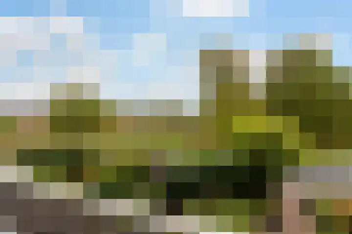 Lupineweg 100 Apeldoorn thumbnail 31