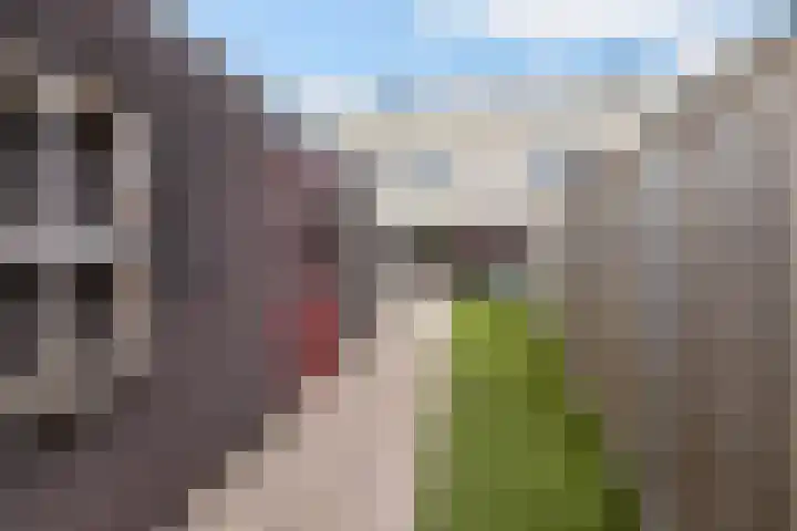 Lupineweg 100 Apeldoorn thumbnail 35
