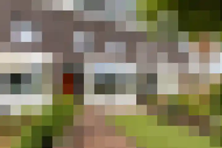 Lupineweg 100 Apeldoorn thumbnail 38