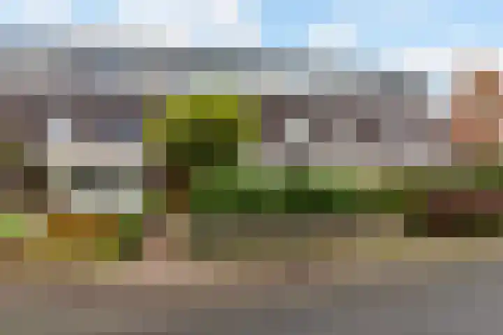 Lupineweg 100 Apeldoorn thumbnail 39