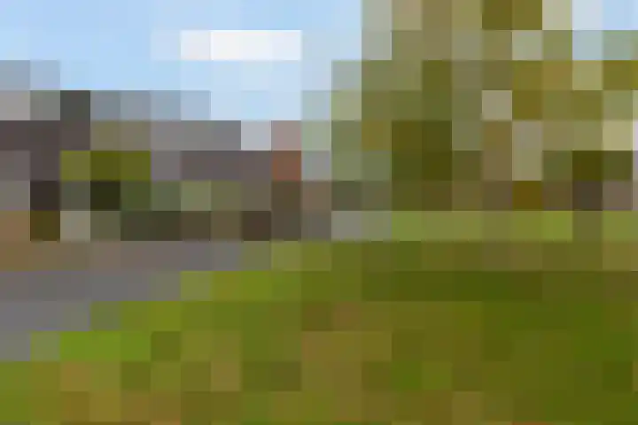 Lupineweg 100 Apeldoorn thumbnail 40