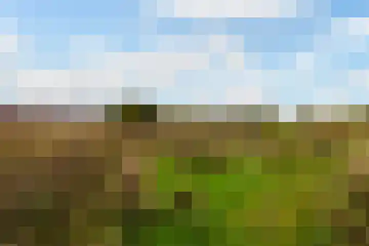 Lupineweg 100 Apeldoorn thumbnail 41