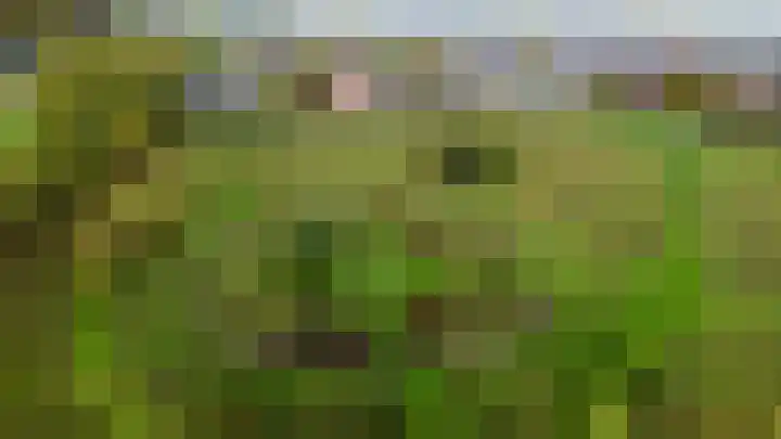 Lupineweg 100 Apeldoorn thumbnail 45