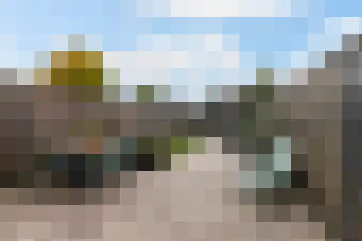 Lupineweg 100 Apeldoorn thumbnail 5