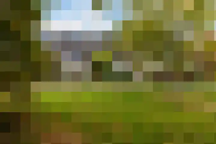 Lupineweg 100 Apeldoorn thumbnail 6