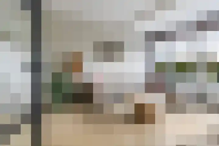 Lupineweg 100 Apeldoorn thumbnail 8