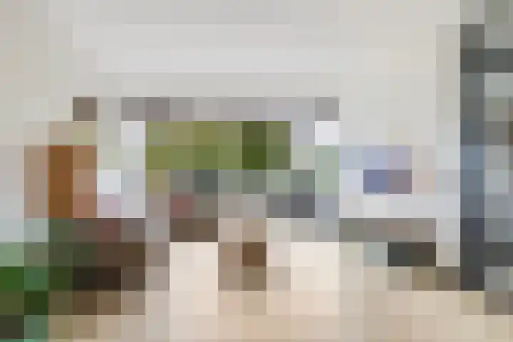 Lupineweg 100 Apeldoorn thumbnail 9