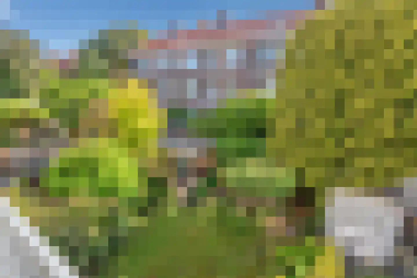 Lupineweg 11 Den Haag thumbnail 33