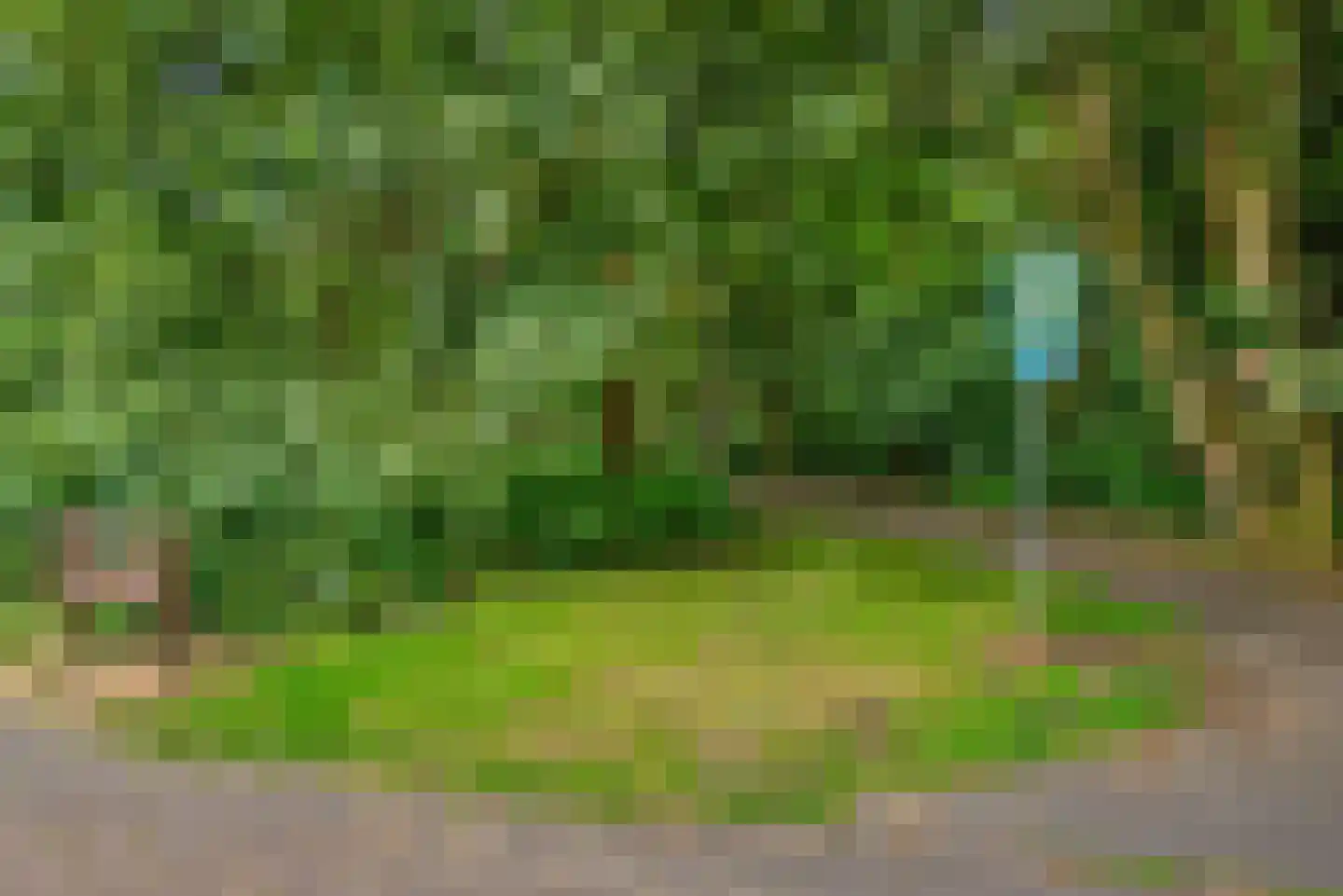 Lupineweg 11 Den Haag thumbnail 56