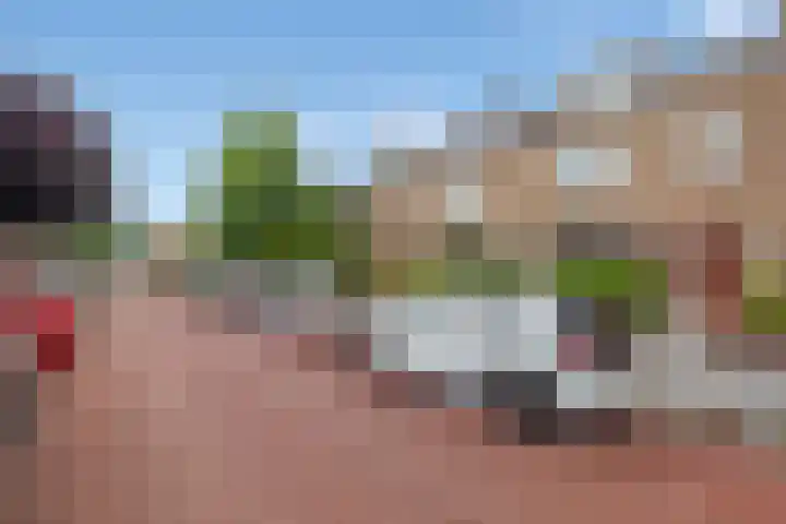Lupineweg 13 Den Haag thumbnail 7