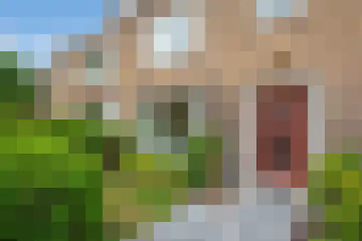 Lupineweg 13 Den Haag thumbnail 8