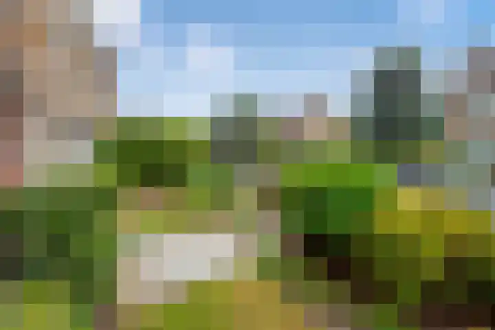 Lupineweg 13 Den Haag thumbnail 9