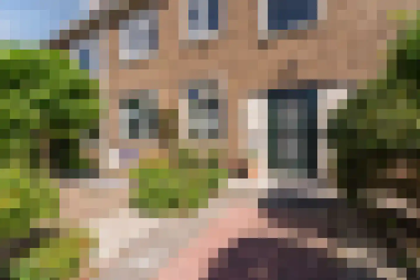 Lupineweg 35 Den Haag thumbnail 9