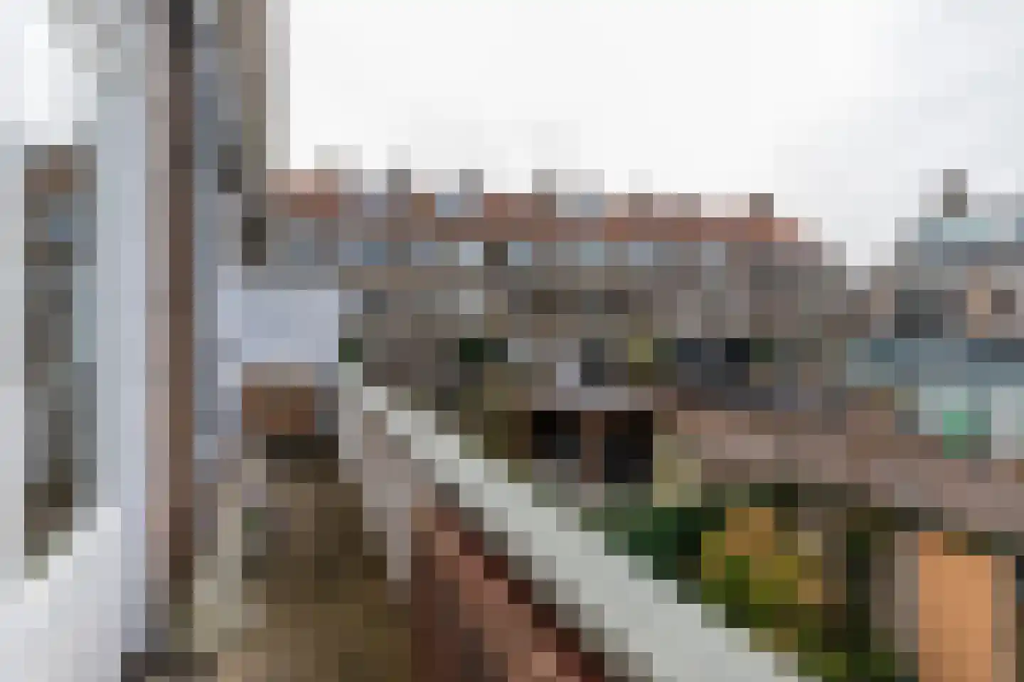 Lupineweg 36 Den Haag thumbnail 14