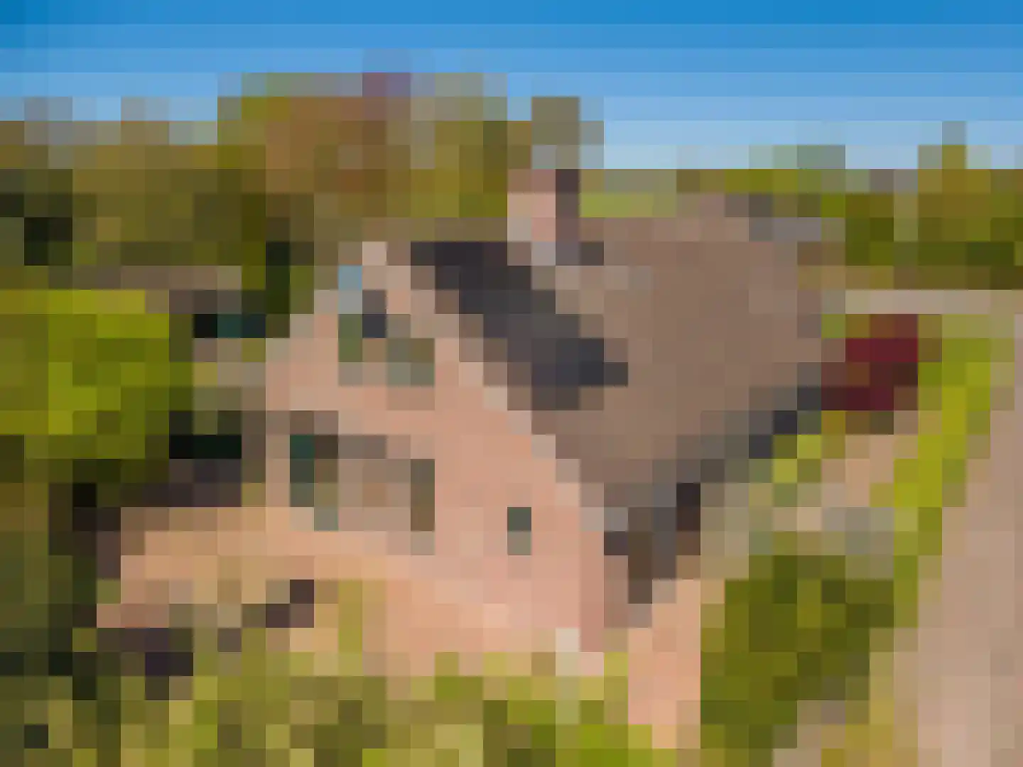 Luringstraat 65 Onstwedde thumbnail 8
