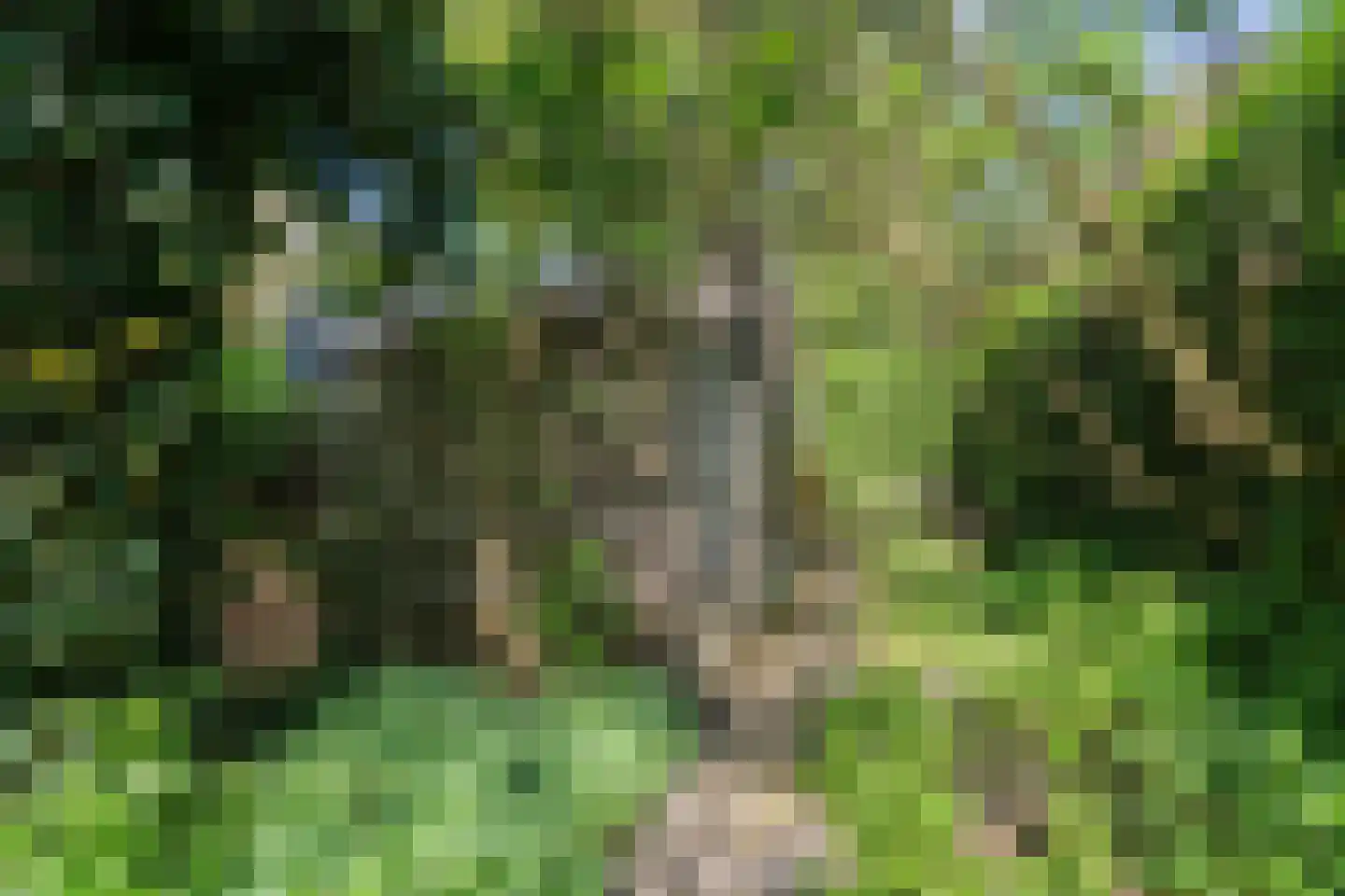 Lurpseweg 3 Kapelle thumbnail 15