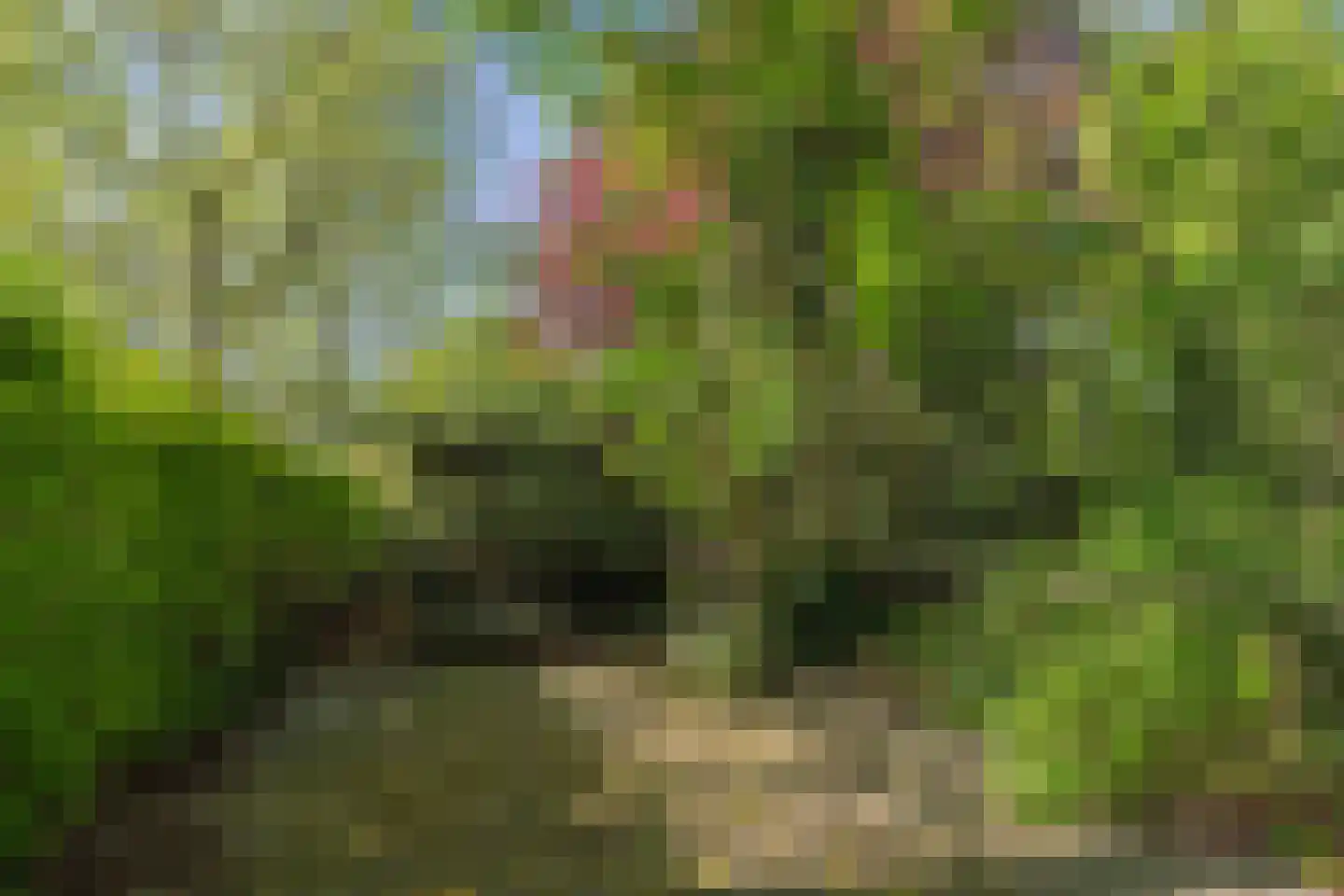 Lurpseweg 3 Kapelle thumbnail 16