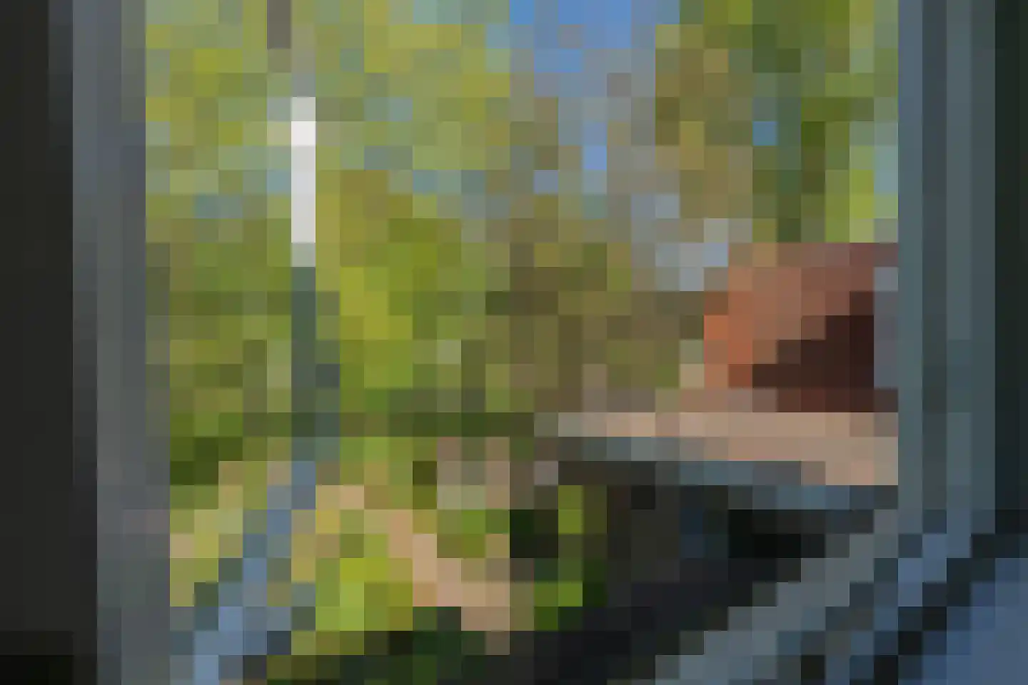 Lurpseweg 3 Kapelle thumbnail 22