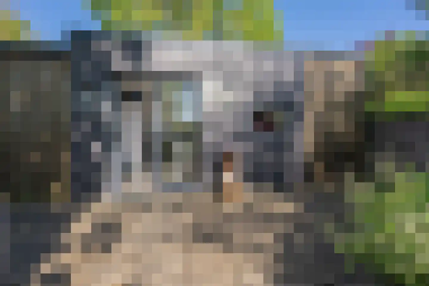 Lurpseweg 3 Kapelle thumbnail 4