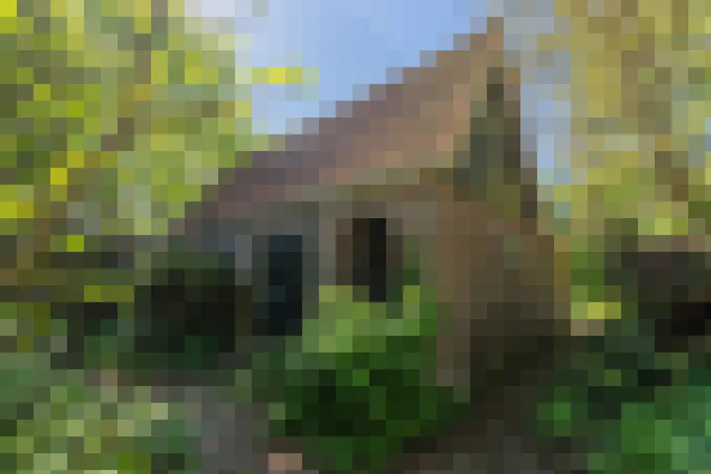 Lurpseweg 3 Kapelle thumbnail 43