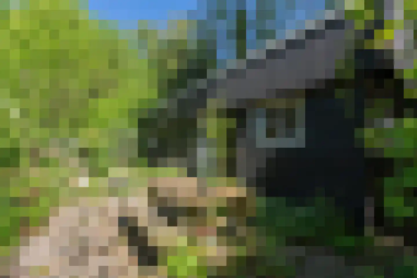 Lurpseweg 3 Kapelle thumbnail 49