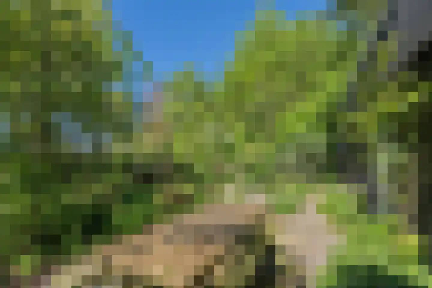 Lurpseweg 3 Kapelle thumbnail 50