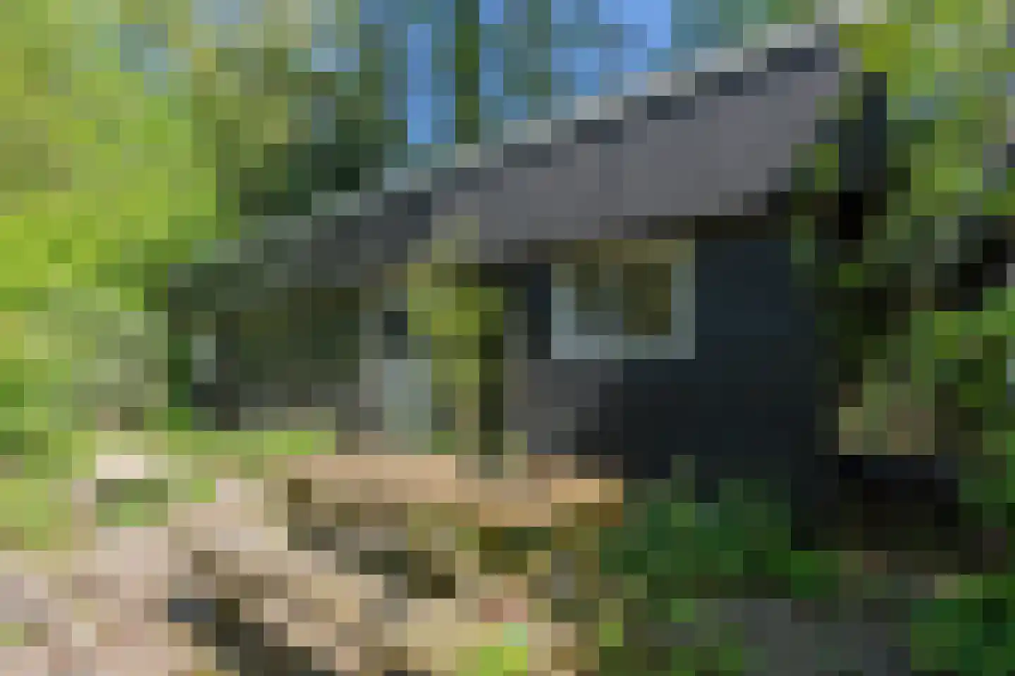 Lurpseweg 3 Kapelle thumbnail 51