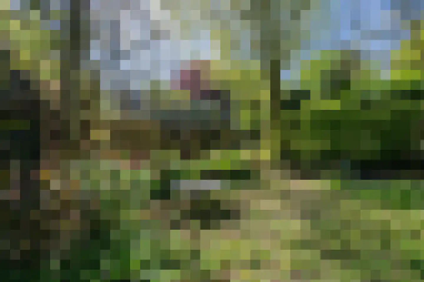 Lurpseweg 3 Kapelle thumbnail 52