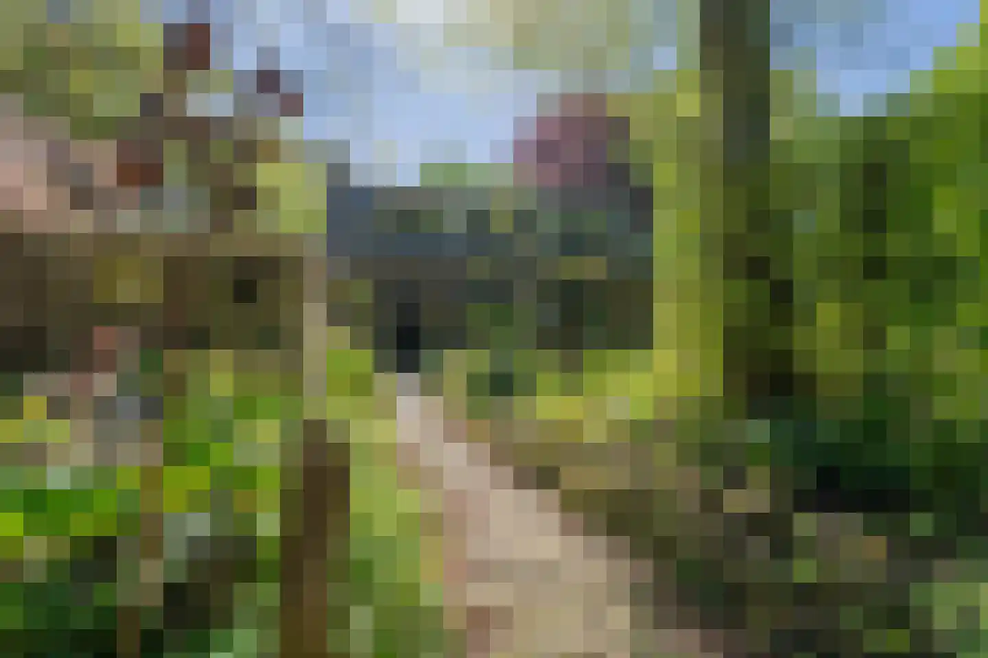 Lurpseweg 3 Kapelle thumbnail 53