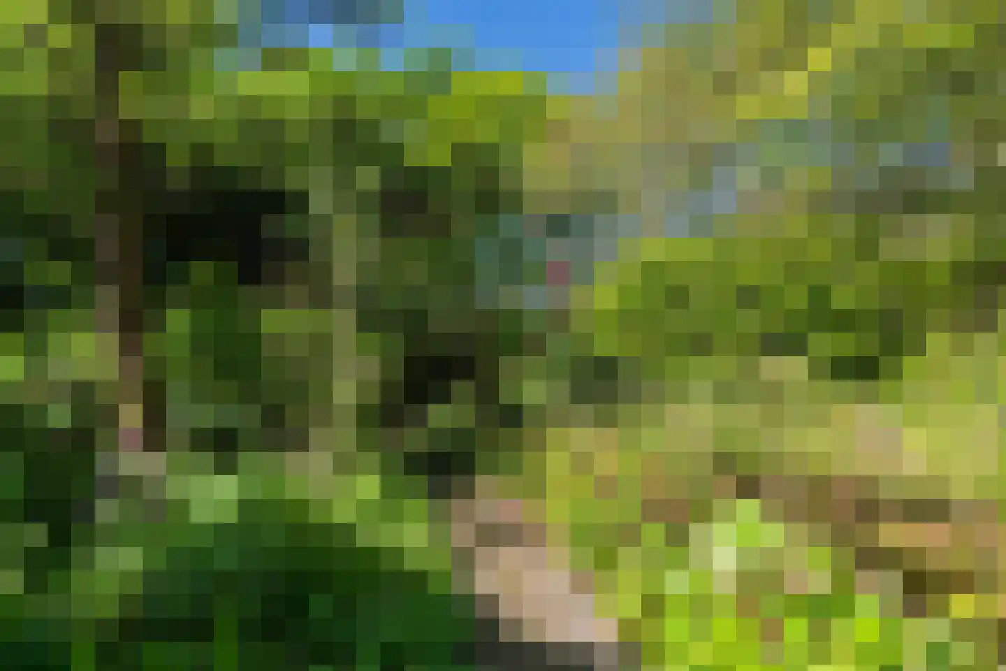 Lurpseweg 3 Kapelle thumbnail 56