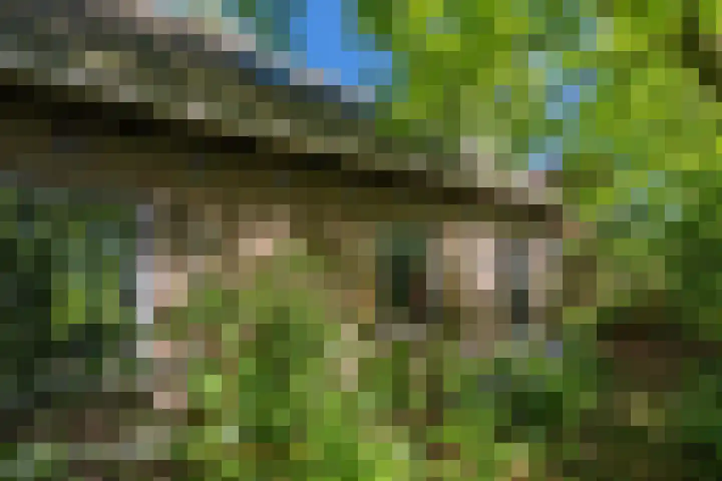 Lurpseweg 3 Kapelle thumbnail 60