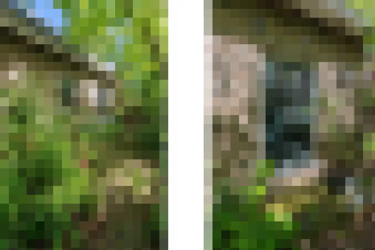 Lurpseweg 3 Kapelle thumbnail 61