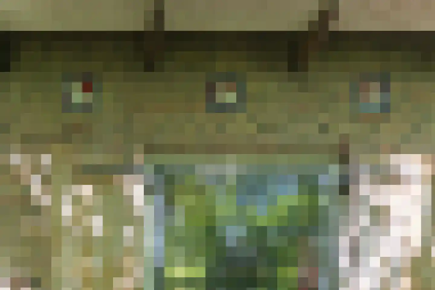 Lurpseweg 3 Kapelle thumbnail 62