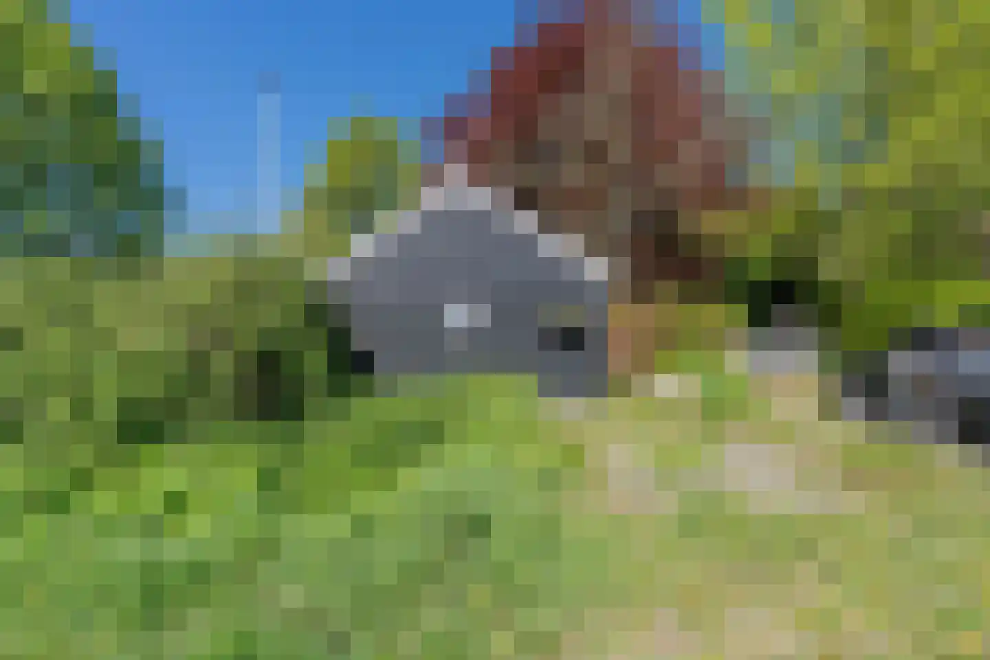 Lurpseweg 3 Kapelle thumbnail 64
