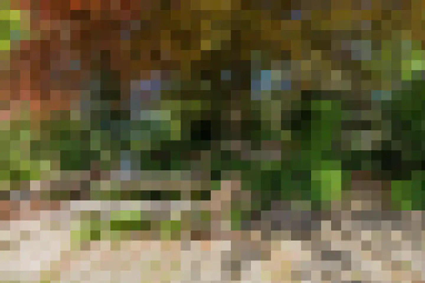 Lurpseweg 3 Kapelle thumbnail 65