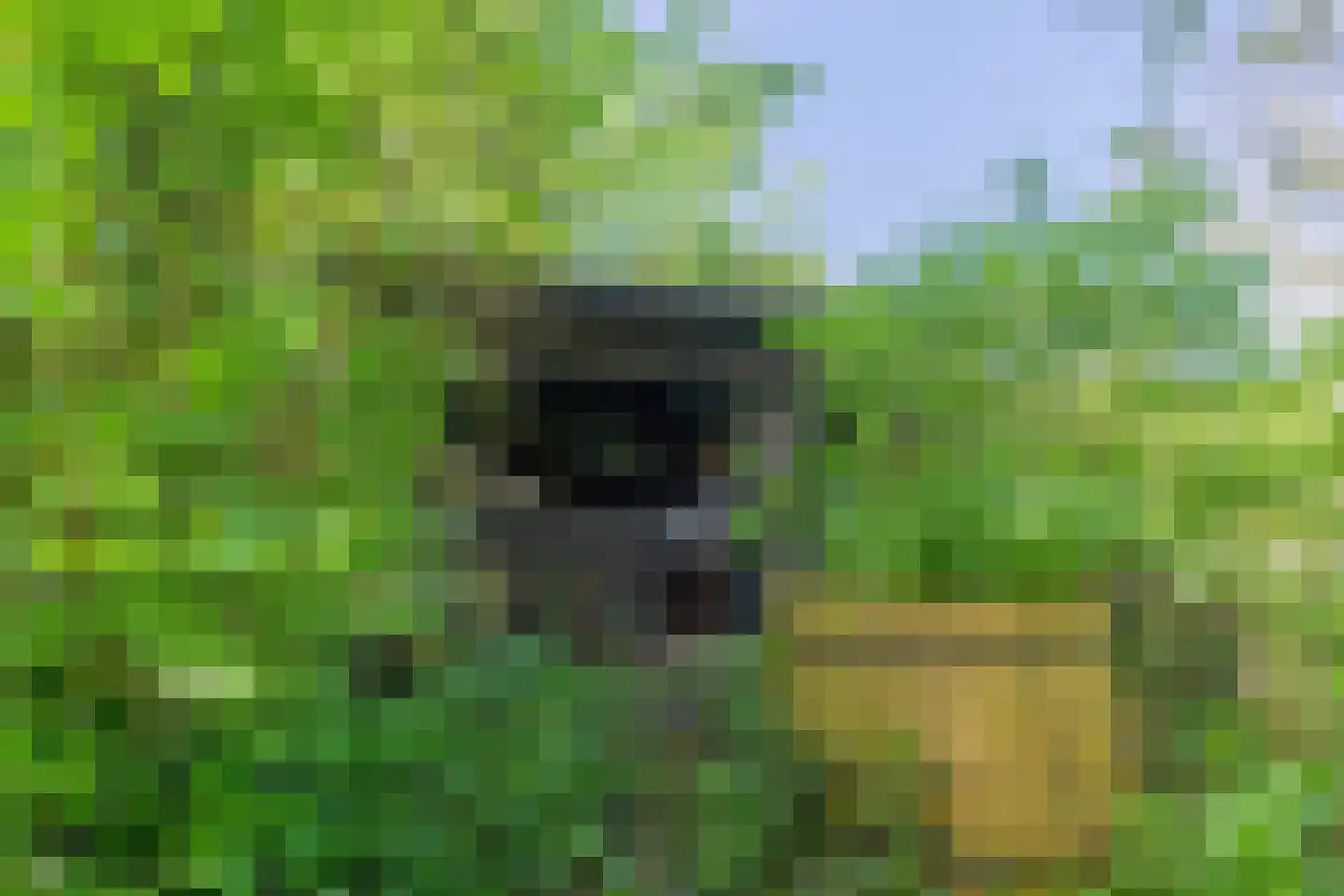 Lurpseweg 3 Kapelle thumbnail 66