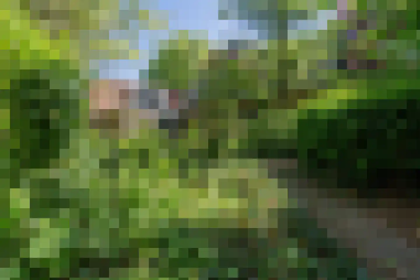 Lurpseweg 3 Kapelle thumbnail 68