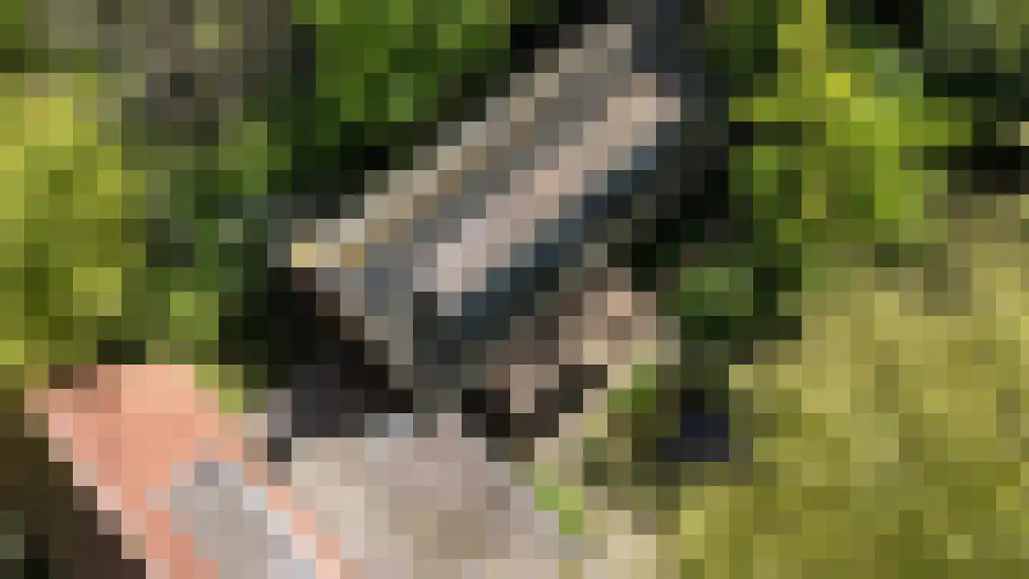 Lurpseweg 3 Kapelle thumbnail 72