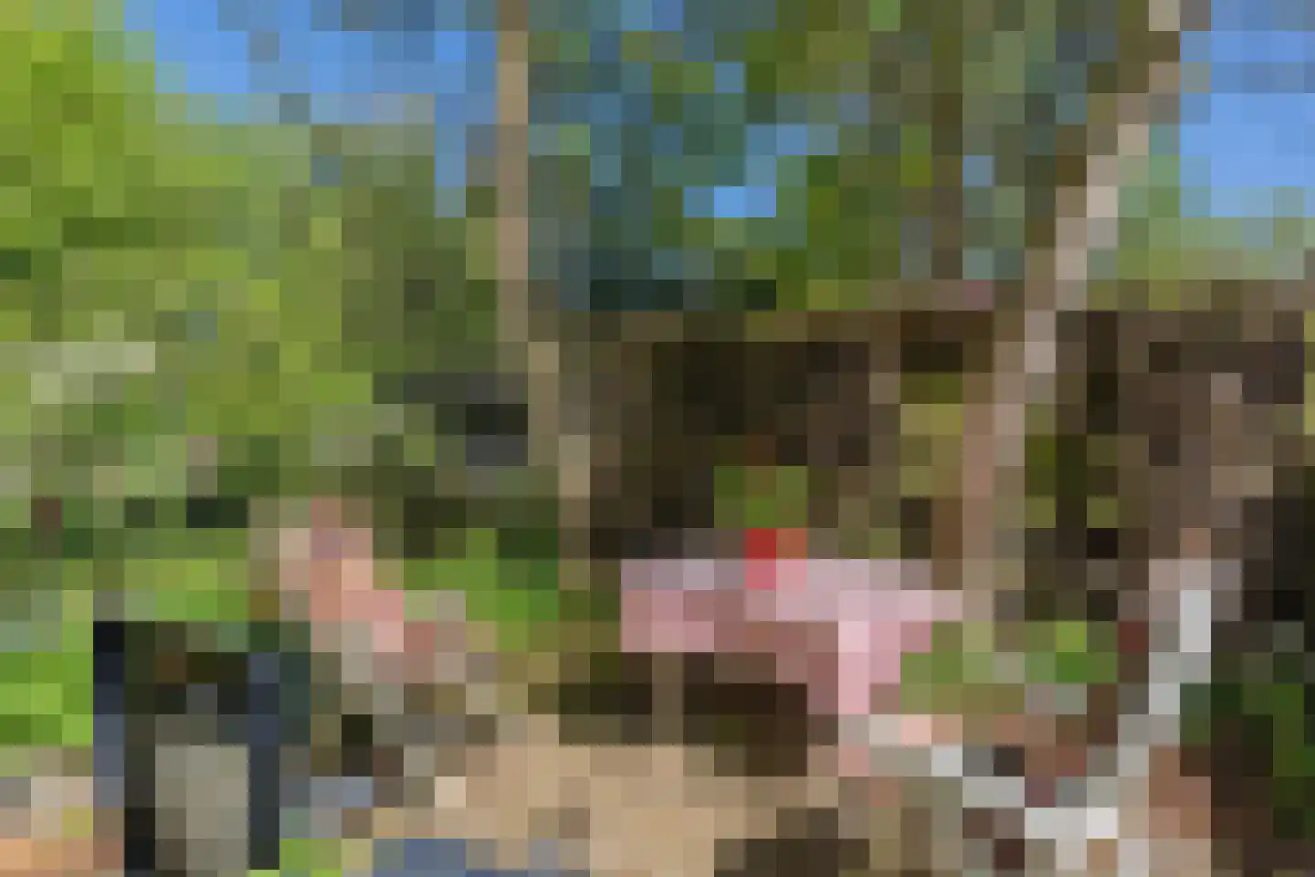 Lurpseweg 3 Kapelle thumbnail 78