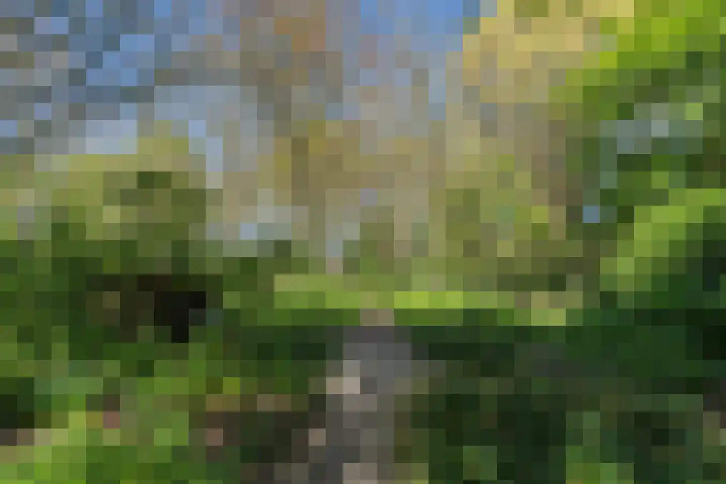 Lurpseweg 3 Kapelle thumbnail 80