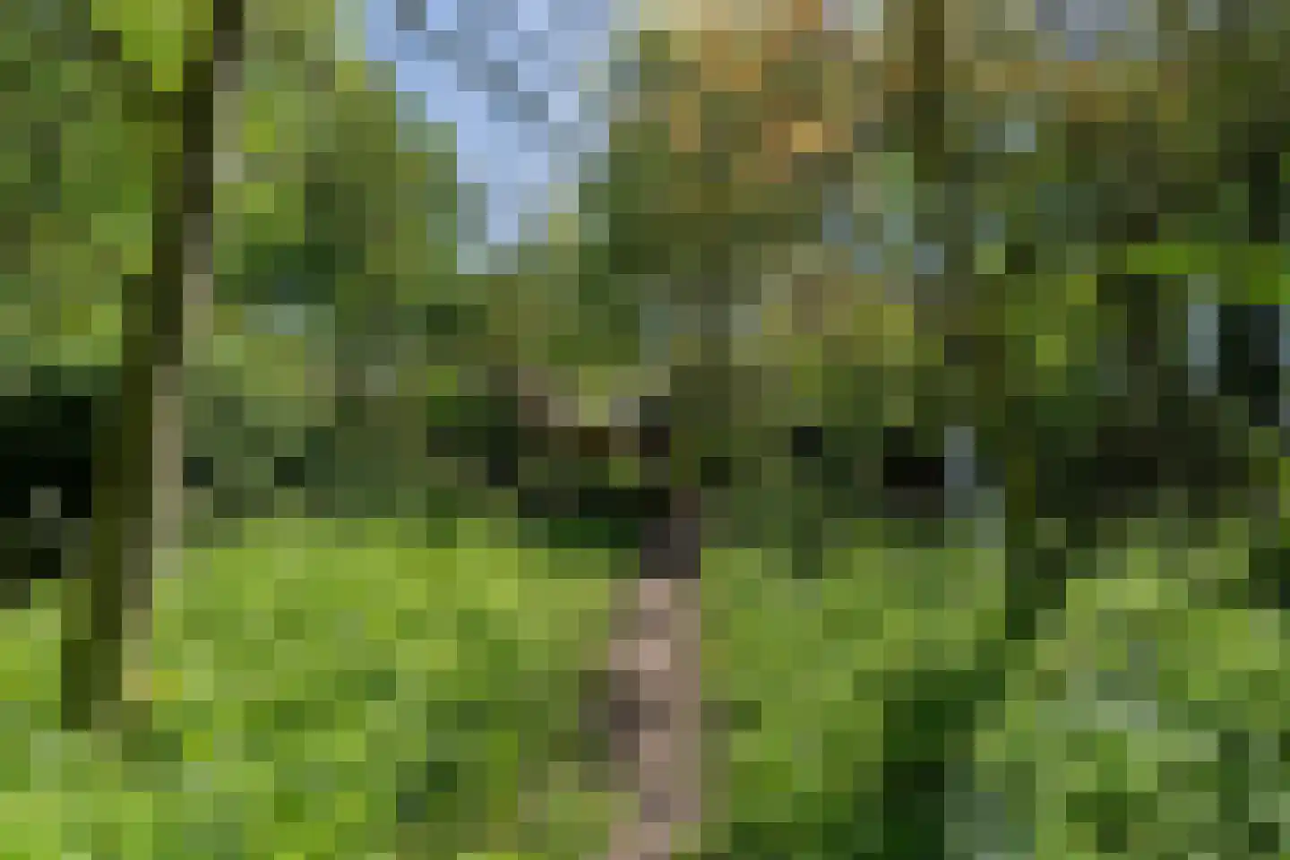Lurpseweg 3 Kapelle thumbnail 81