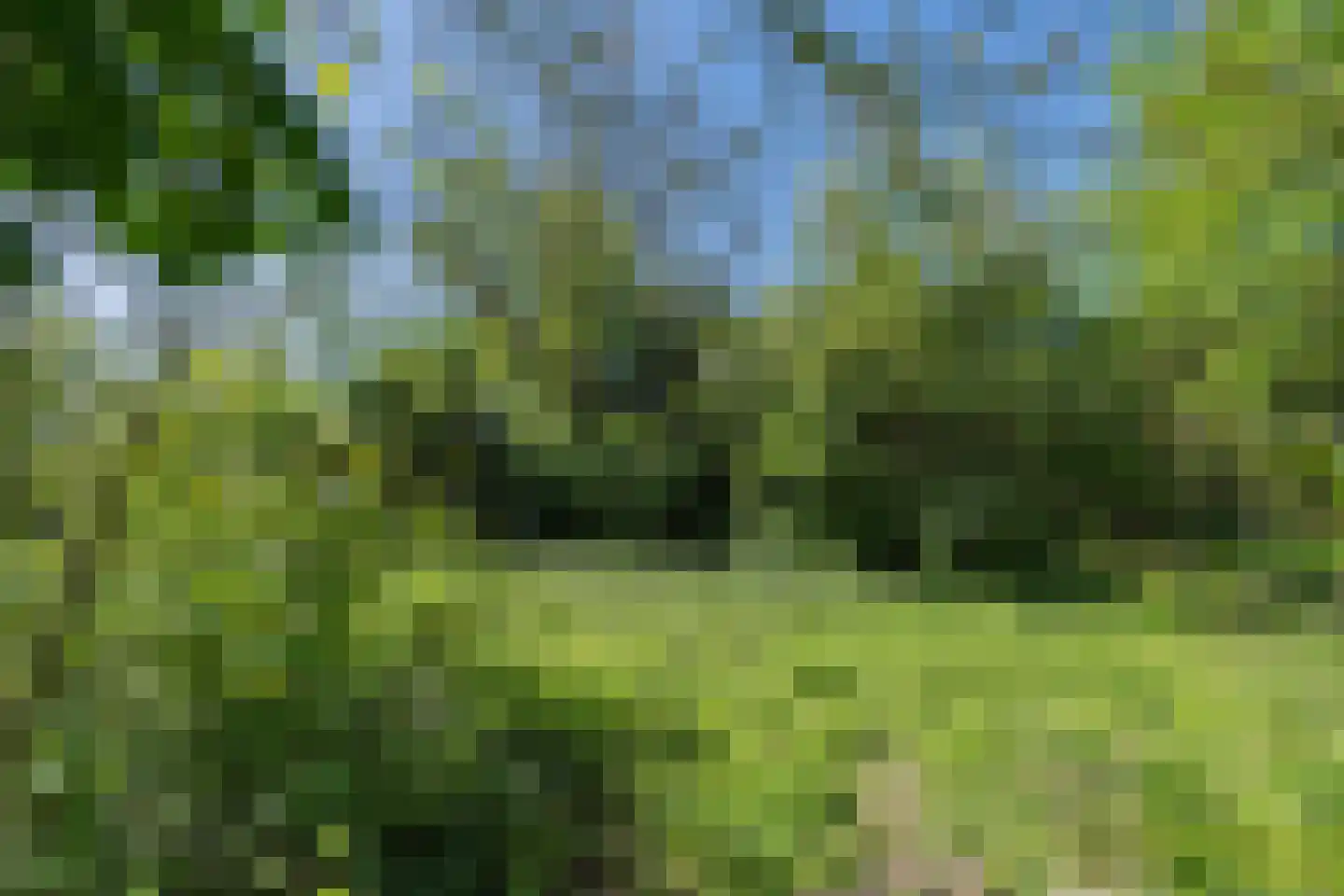 Lurpseweg 3 Kapelle thumbnail 82