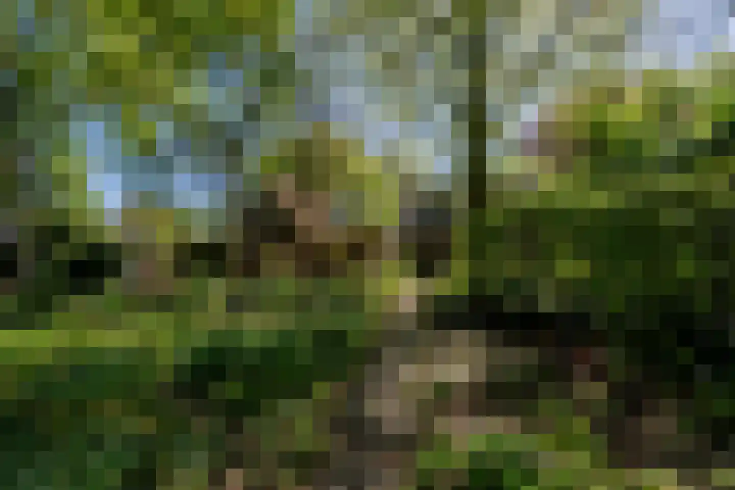 Lurpseweg 3 Kapelle thumbnail 83