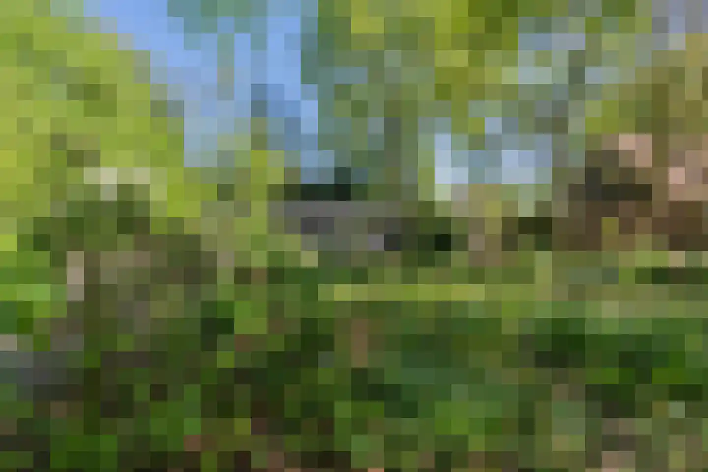Lurpseweg 3 Kapelle thumbnail 84