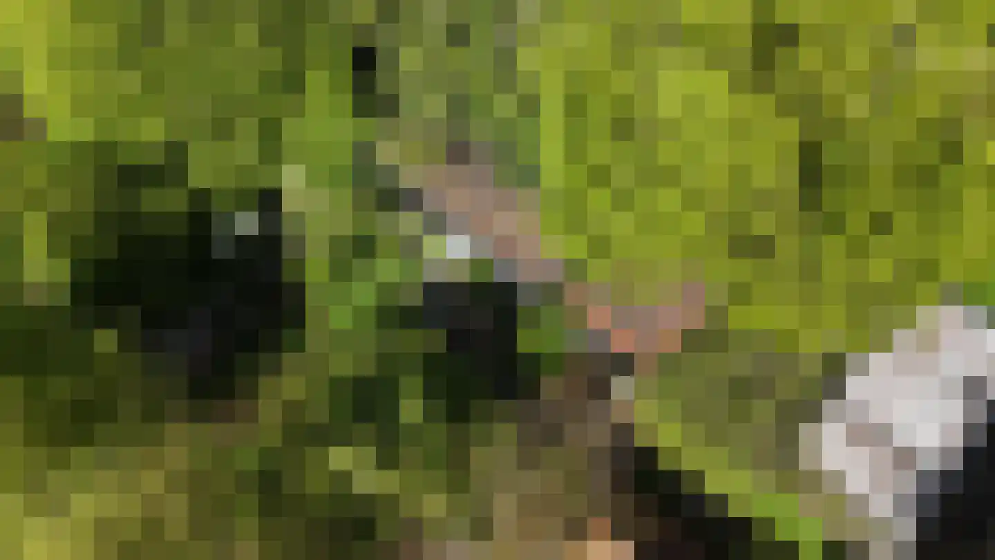 Lurpseweg 3 Kapelle thumbnail 86