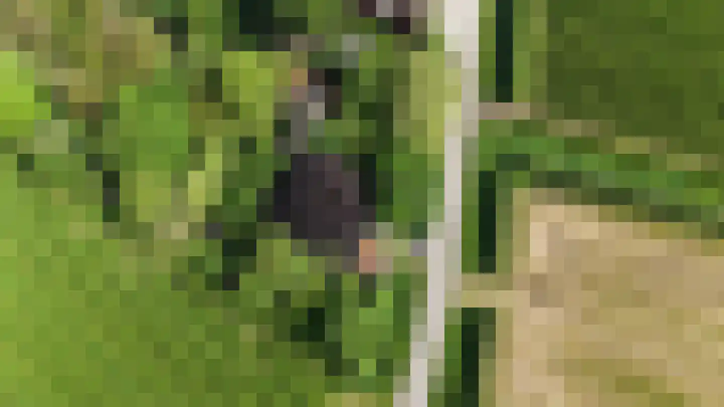Lurpseweg 3 Kapelle thumbnail 91